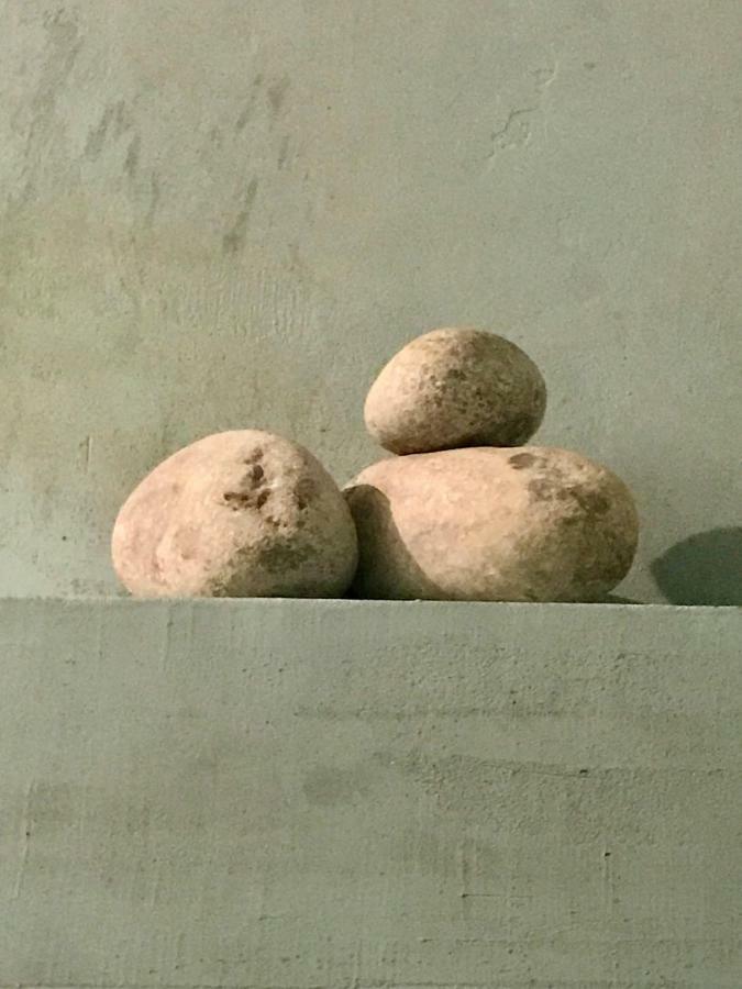 Appartamento Casa Mingot Sxvi Anciles Benasque Esterno foto