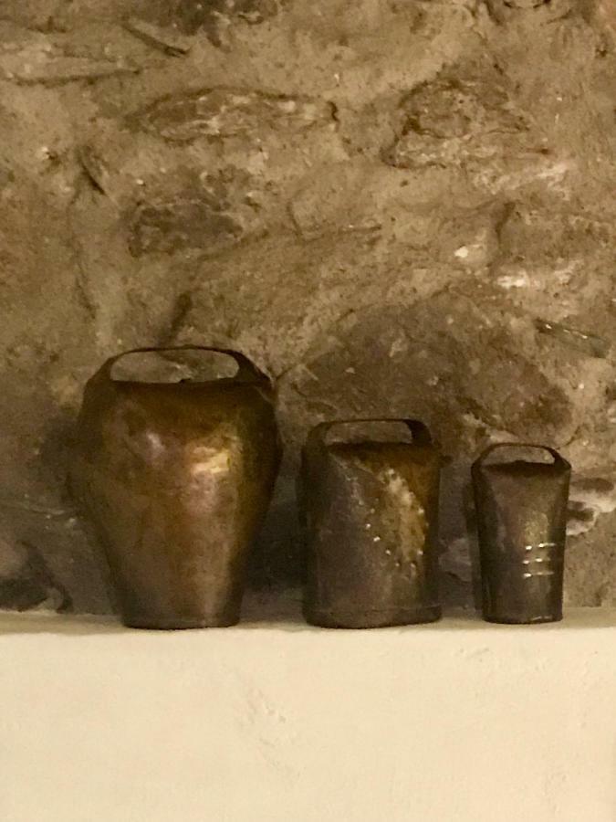 Appartamento Casa Mingot Sxvi Anciles Benasque Esterno foto